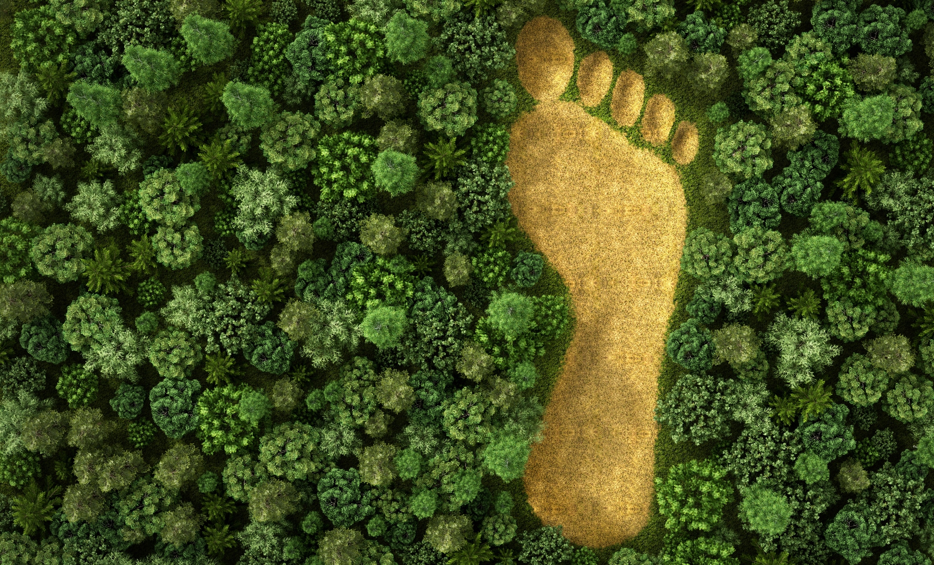 Concept of ecology.